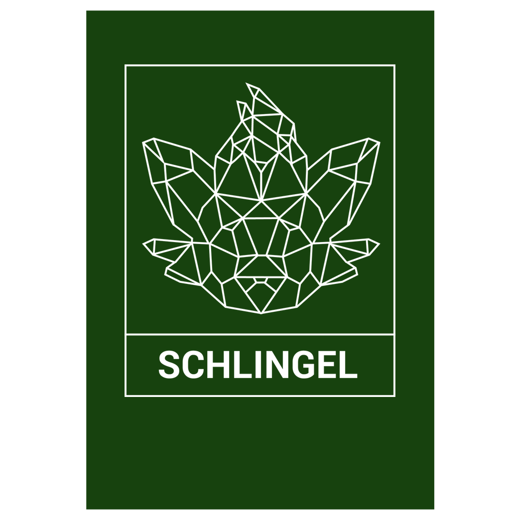 Sephiron Sephiron - Schlingel Kasten Druck Kunstdruck grün