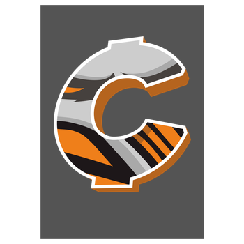 C0rnyyy - Logo Art Print grey